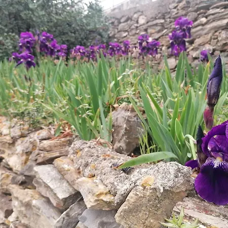 La Terrazza Di Σπίτι διακοπών Αλάσιο
